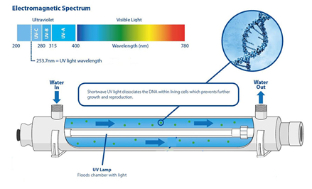 ULTRA VIOLET STERILIZER